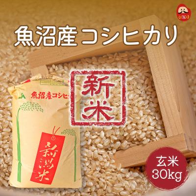 玄米のおすすめ人気商品一覧 通販 - Yahoo!ショッピング
