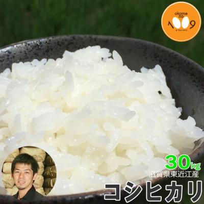 コシヒカリ 白米 27kg前後 滋賀県 近江今津産 新米 玄米で30kg 送料込 コシヒカリ 白米 27kg前後 滋賀県 近江今津産 新米 玄米で30kg 送料込