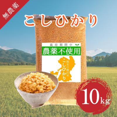 コシヒカリ玄米30キロの商品一覧 通販 - Yahoo!ショッピング コシヒカリ玄米30キロの商品一覧 通販 - Yahoo!ショッピング