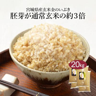 玄米 20kgの商品一覧 通販 - Yahoo!ショッピング 玄米 20kgの商品一覧 通販 - Yahoo!ショッピング