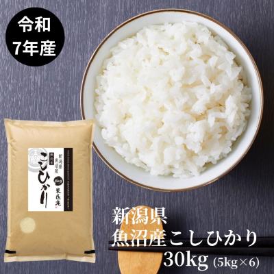 魚沼産 コシヒカリ 30kgの商品一覧 通販 - Yahoo!ショッピング