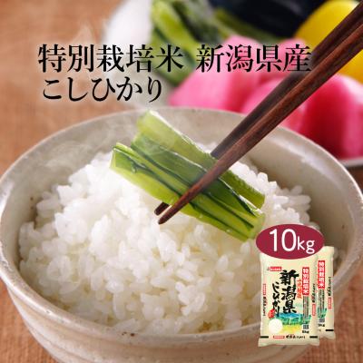 コシヒカリ 10kgの商品一覧 通販 - Yahoo!ショッピング コシヒカリ 10kgの商品一覧 通販 - Yahoo!ショッピング