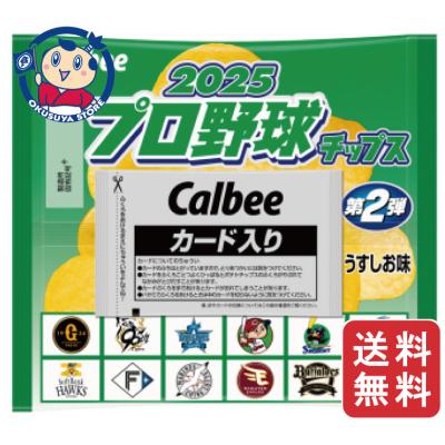 プロ野球チップス2025のおすすめ人気商品一覧 通販 - Yahoo!ショッピング