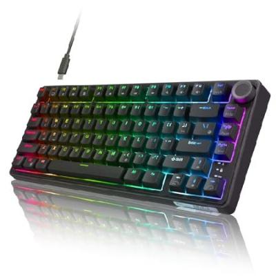 極上コトコトキーボード】クリーミーな打鍵感 RK R75 廃盤VertexV1