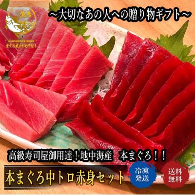冷凍 地中海産本鮪中トロ柵 4柵 &amp; サーモンフィレ 2枚セット りえ 冷凍】天然本まぐろ 柵セット FISHSTAND by三崎恵水産 (神奈川県
