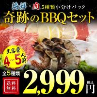 セール 送料無料 牛焼肉セット1.2kg 約4-6人前 焼肉  バーベキュー 冷凍食品 特産品 お試し 訳あり グルメ バーベキュー用 牛肉 大阪 グルメ 