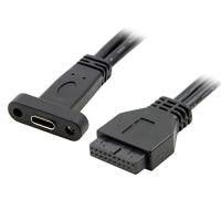 cablecc シングルポート USB 3.1 Type C USB-C メス - USB 3.0 マザーボード 19ピン ヘッダーケーブル 40cm | ワントゥデイ