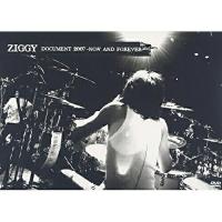 DVD/ZIGGY/DOCUMENT 2007 -NOW AND FOREVER- | onHOME(オンホーム)
