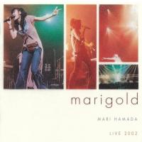 BD/浜田麻里/LIVE 2002 marigold(Blu-ray) | onHOME(オンホーム)
