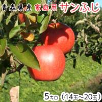 青森りんご 送料無料 家庭用サンふじ5キロ14〜20玉  発送は11月22日頃から 