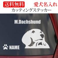 犬ステッカー ミニチュアダックス 単色 犬がノッてます 正方形セット 犬屋 いぬや St0046 犬屋 Yahoo 店 通販 Yahoo ショッピング