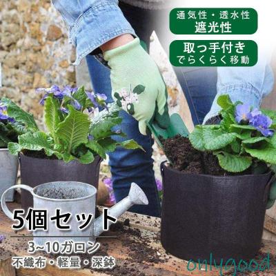 ブルーベリー 不織布ポット（植木鉢）｜鉢、プランター｜園芸用品 | 花