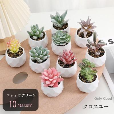 多肉植物（人工観葉、フェイクグリーン） | 花、ガーデニング の