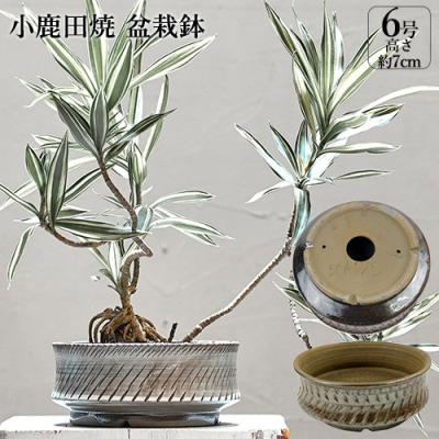 盆栽鉢 7号の商品一覧 通販 - Yahoo!ショッピング 盆栽鉢 7号の商品一覧 通販 - Yahoo!ショッピング