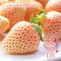 白いちご 淡雪(約200g×2)熊本産 白イチゴ 白苺 いちご 送料無料 