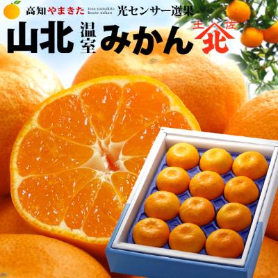 みかん 小玉の商品一覧 通販 - Yahoo!ショッピング みかん 小玉の商品一覧 通販 - Yahoo!ショッピング