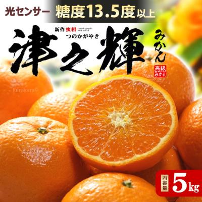 津之輝のおすすめ人気商品一覧 通販 - Yahoo!ショッピング