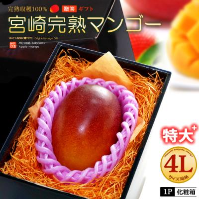 青 マンゴーの商品一覧 通販 - Yahoo!ショッピング