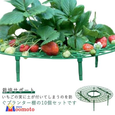 いちご苗（園芸支柱、グリーンフェンス）｜園芸用品 | 花