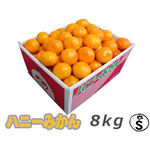 山川みかんの商品一覧 通販 - Yahoo!ショッピング 山川みかんの商品一覧 通販 - Yahoo!ショッピング