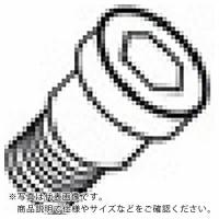 タンガロイ　部品　締め付けねじ (DTS5-3.5) | ORANGE TOOL TOKIWA