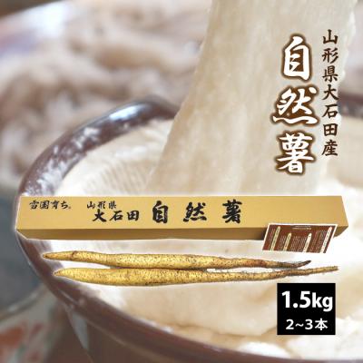 自然薯 種芋のおすすめ人気ランキングTOP100 - Yahoo!ショッピング