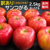 りんご 送料無料 訳ありサンつがる2.5kg（8〜12玉） りんご リンゴ 林檎(gn) :OCA4074:オーガニックサイバーストア - 通販 - Yahoo!ショッピング