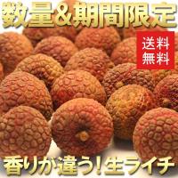 ライチ 完全予約販売 数量限定 フレッシュ 生ライチ 約500g 台湾産 送料無料 :OCA4288:オーガニックサイバーストア - 通販 - Yahoo!ショッピング