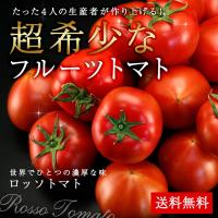 トマト 送料無料 愛知県産 ロッソトマト 約2kg 超希少 フルーツトマト ギフト プレゼント 贈り物 フルーツ 野菜 旬 