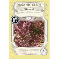マスタード 種 からし菜 パープルフリル 紫 オーガニック 有機種子 固定種 | ミドリの種屋
