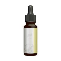 rise CBD OIL レモン 国内製造 30mL 1,000mg配合 送料無料 | organy ONLINE STORE