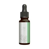 rise CBD OIL ミント 国内製造 30mL 1,000mg配合　送料無料 | organy ONLINE STORE