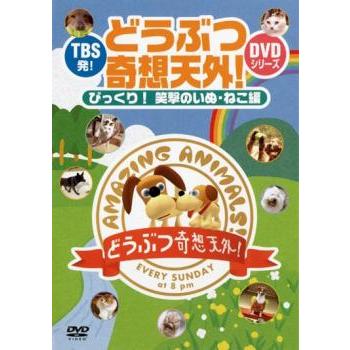 (未使用･未開封品)　犬と猫と人間と [DVD] tu1jdyt Amazon.co.jp: 犬と猫と人間と [DVD] : ドキュメンタリー映画, 飯田