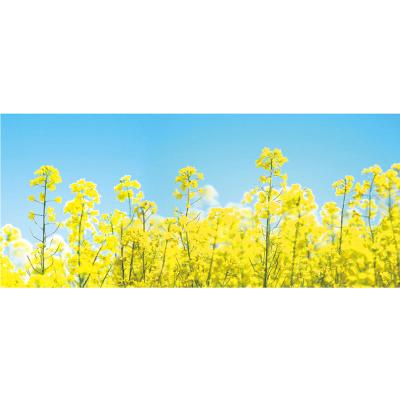 菜の花 造花のおすすめ人気商品一覧 通販 - Yahoo!ショッピング