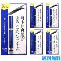 5本セット メンズ眉墨 ブラック アイブロウ 5g メンズコスメ 白髪隠し ブラック 眉毛 ビナ薬粧 | ボーテ&サンテマルシェ