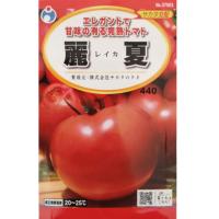 野菜 種【トマト】大玉トマト　麗夏【ウタネ】【サカタ交配】【ネコポス発送可（10個まで／メール便）】種子 | 農家のお店おてんとさん