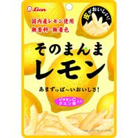 ライオン菓子 そのまんまレモン 25g ×6個 | 雑貨屋MelloMellow