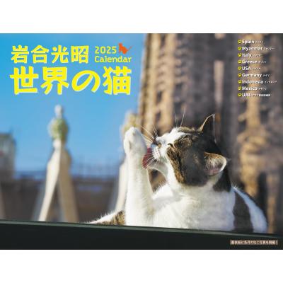 岩合光昭 グッズ ねこの商品一覧 通販 - Yahoo!ショッピング
