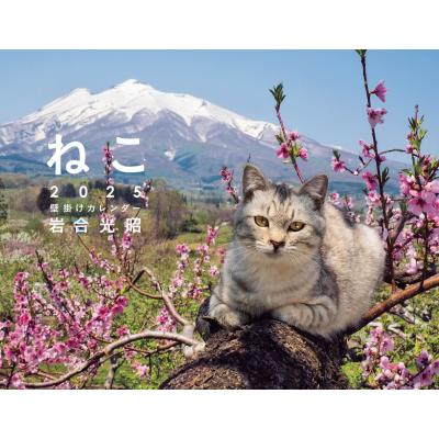 岩合光昭 グッズ ねこの商品一覧 通販 - Yahoo!ショッピング