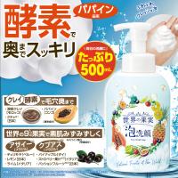 世界の果実 すっきり泡洗顔 500ｍL ボトル 本体 洗顔 泡洗顔 酵素洗顔 洗顔料 泡ソープ パパイン クレイ フェイスケア フェイススキンケア 化粧品 | かがやくコスメ