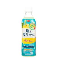 えひめ飲料 POM ポン 塩と夏みかん 490ml×24本 PET 伯方の塩 愛媛県産夏みかん使用 熱中症対策 水分補給 ケース販売 送料無料（一部地域除く） | ouden水屋