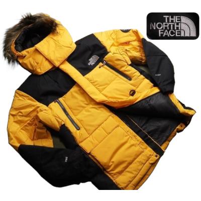 north face ダウン 700（レディースファッション