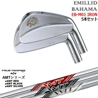EMILLID BAHAMA アイアンセット｜クラブ（メンズ）｜ゴルフ｜スポーツ