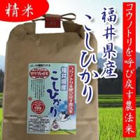 無農薬米 栽培期間中農薬化学肥料不使用 精米 5ｋｇ5年産 コウノトリ呼び戻す農法米 福井産コシヒカリ オーガニック | 無農薬・減農薬取扱店 尾張の米蔵