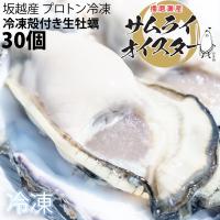 坂越かき　冷凍殻付牡蠣30個 (加熱用) ★驚きのぷりぷりで美味しい牡蠣♪ 熱を加えても縮まない魔法の牡蠣。 | Oyster Sisters