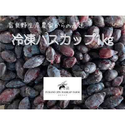 ハスカップ 8キロ ハスカップのおすすめ人気商品一覧 通販 - Yahoo!ショッピング