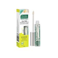 ティーツリー 軟膏 30g 2本セット Thursday Plantation Tea Tree Ointment 海外発送品 Anti 008 ザッカプラス 通販 Yahoo ショッピング