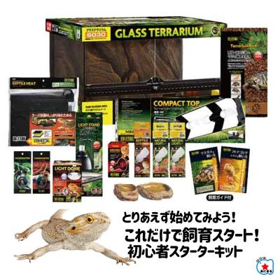 グラステラリウム6030セットの商品一覧 通販 - Yahoo!ショッピング