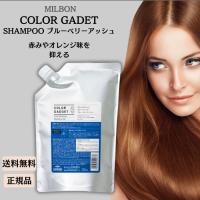 カラーガジェット カラーシャンプー ブルーベリーアッシュ 1000ml 美容室 サロン専売品 美容院 ヘアケア | パートナー