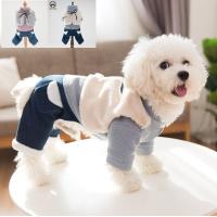 ドラゴンボール なりきりウェア 亀仙流道着 Sサイズ ハロウィン 犬用 コスプレ ウェア ペティオ Petio W 00 00 W 00 00 モコペット 通販 Yahoo ショッピング